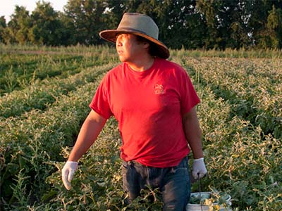 Farmer in red t-shirt wearing a wide-brim hat in a green field carrying a bucket