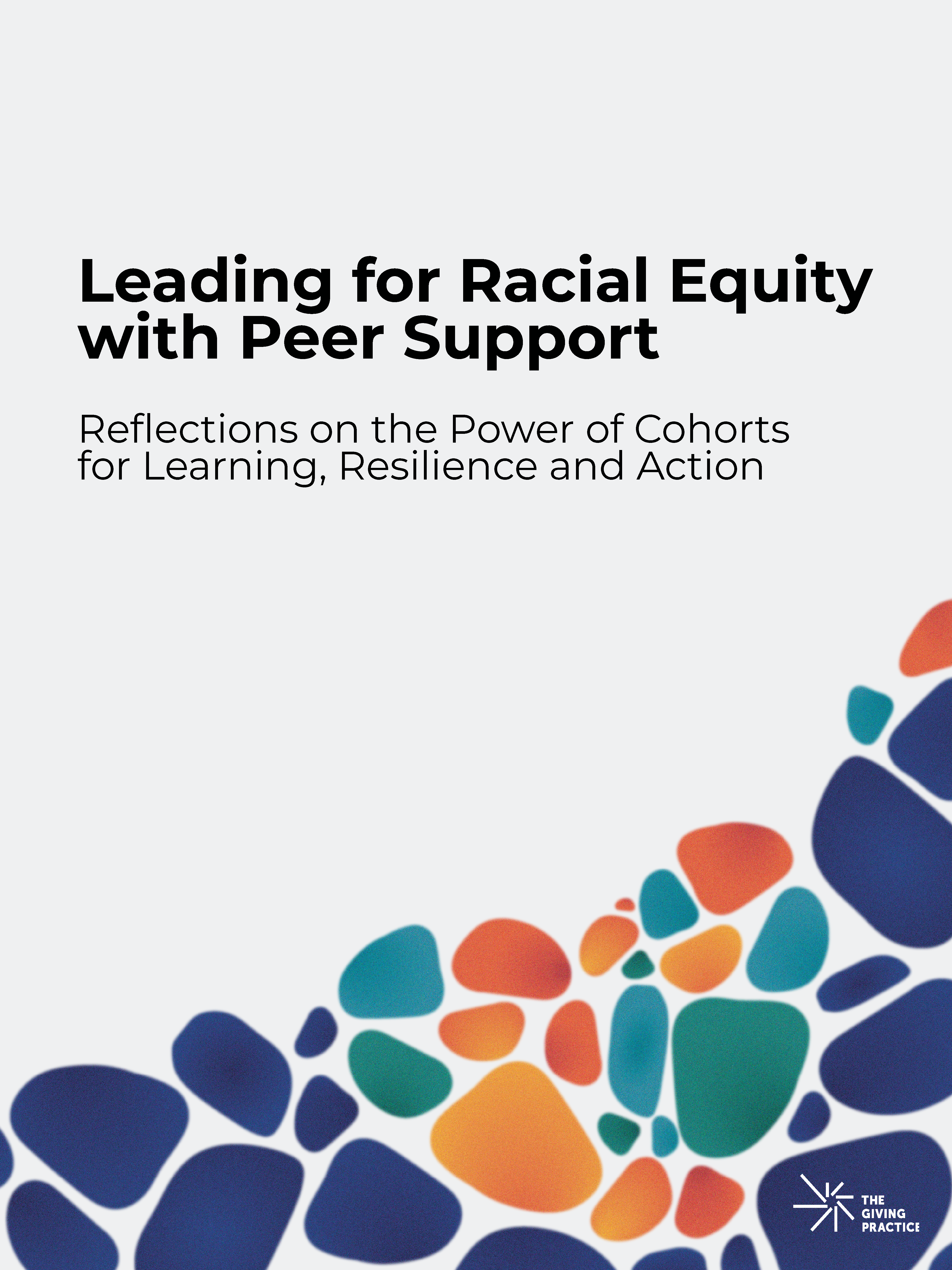 New Report: Leading for Racial Equity with Peer Support