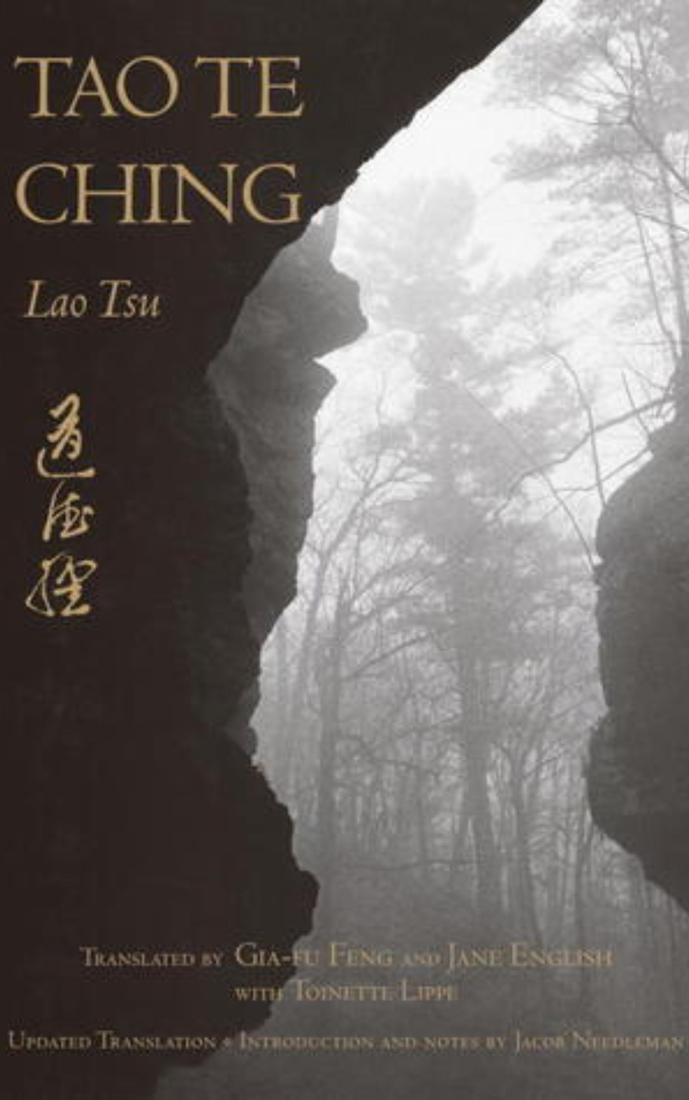 Book cover for Tao Te Ching by Lao Tzu Translated by Jacob Needleman