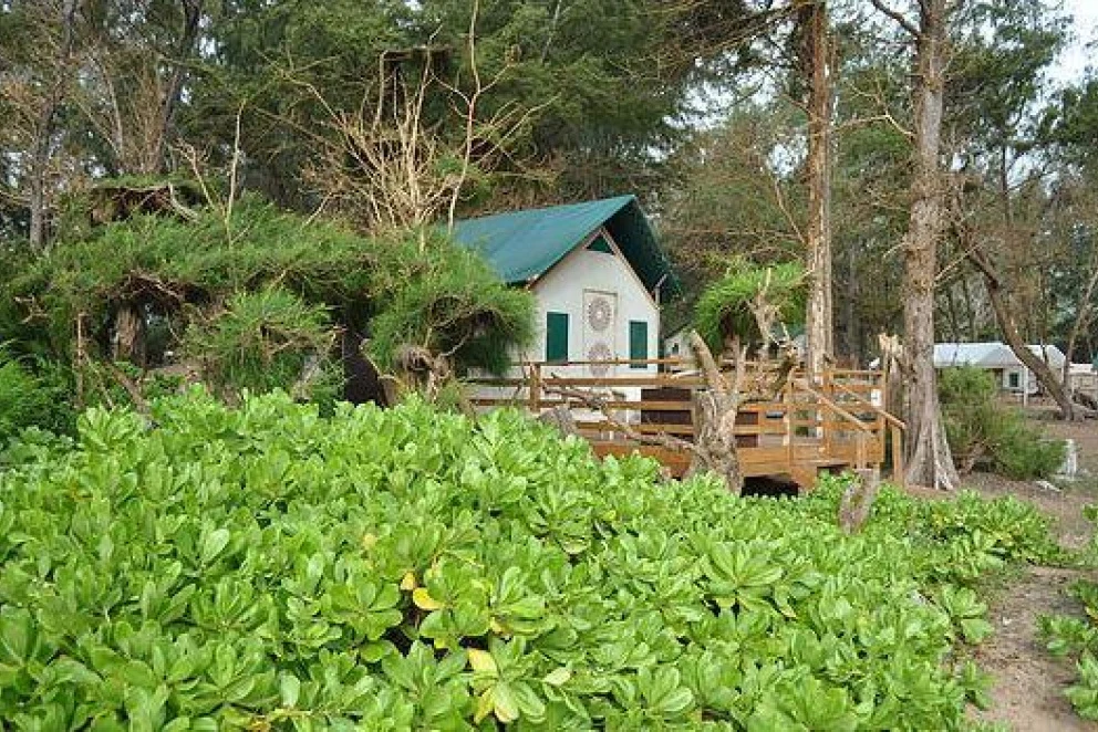 Kumu Camp, a social enterprise, at Anahola Beach on the Hawaiian island of Kaua’i