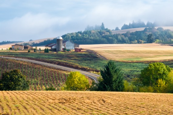 Image of a farm land and homestead in Sublimity, Oregon