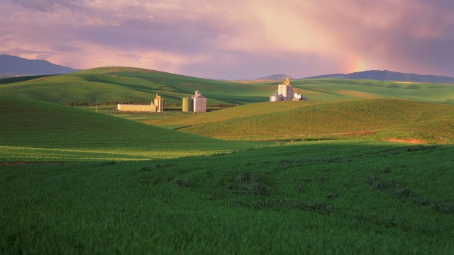 Image of lush green grain fields in foreground with a few white grain elevators in background