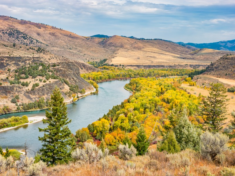 Snake River on an autumn day