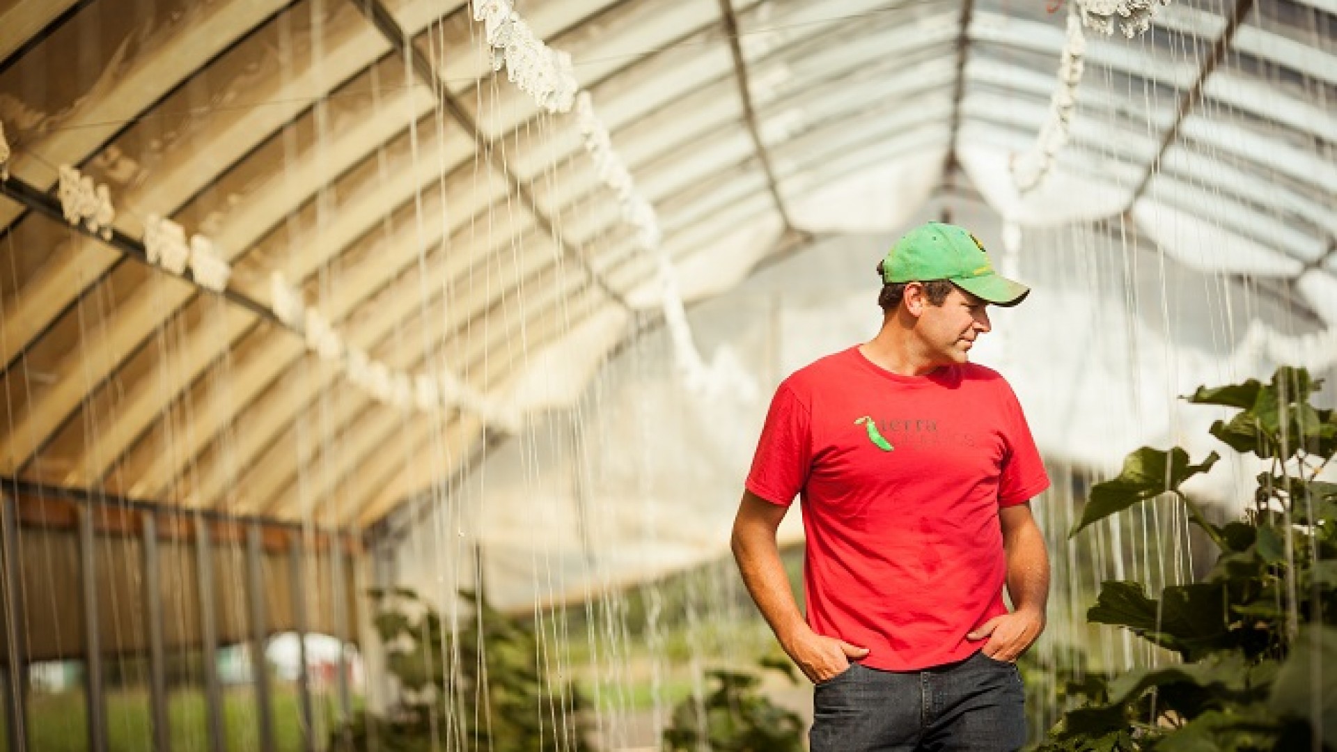 Picture of a white man in red T-shirt and green cap looking over plants in a greenhouse