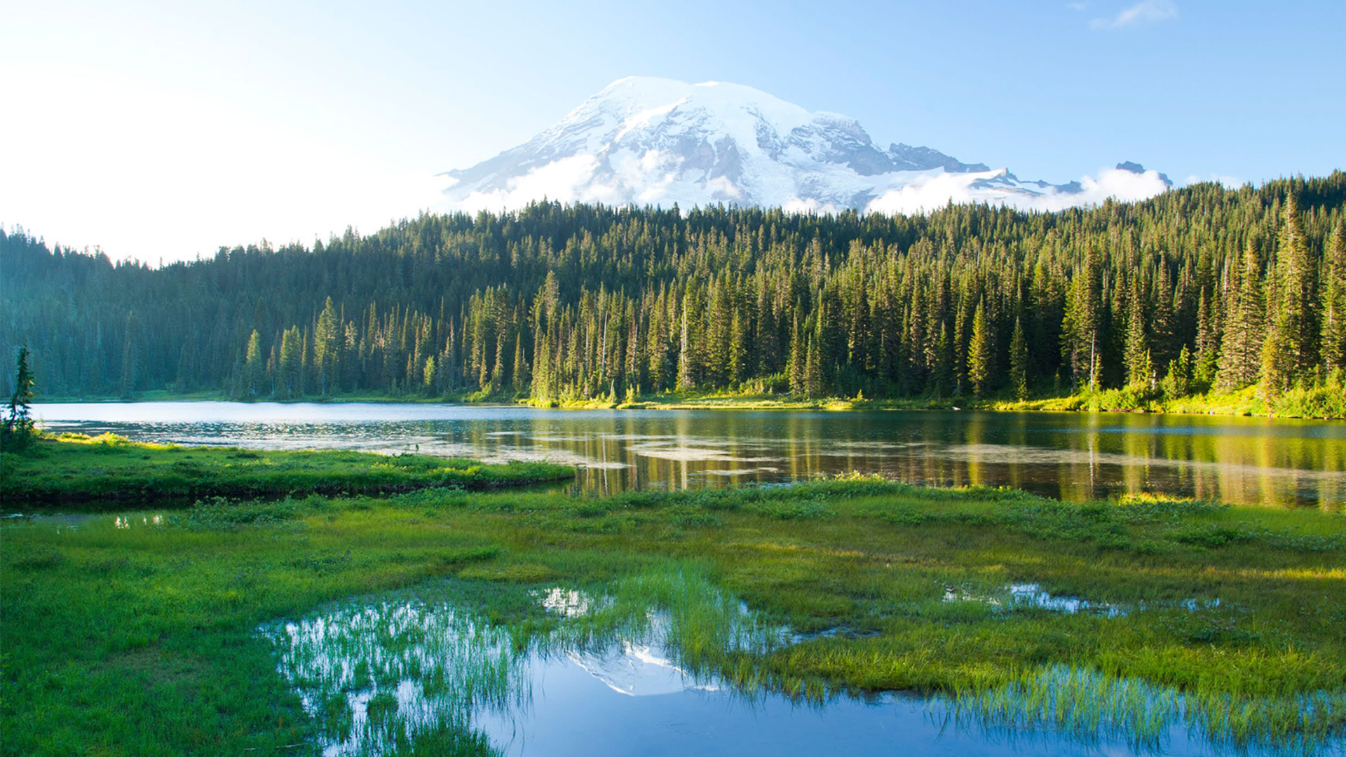 An image of a lake in the Pacific Northwest with trees and a snowy mountain in the background.