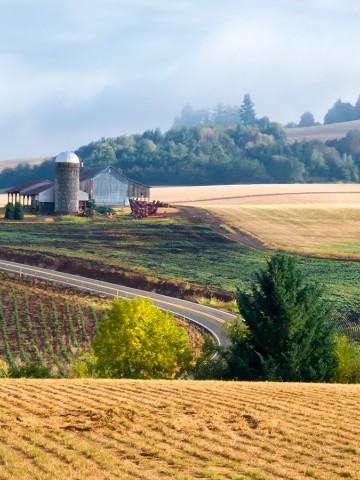 Image of a farm land and homestead in Sublimity, Oregon
