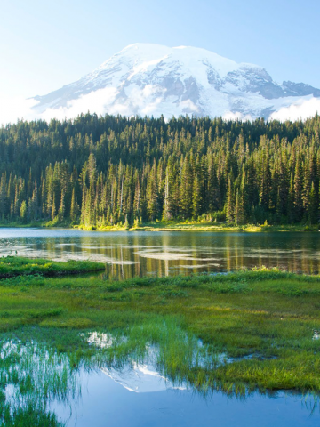 An image of a lake in the Pacific Northwest with trees and a snowy mountain in the background.